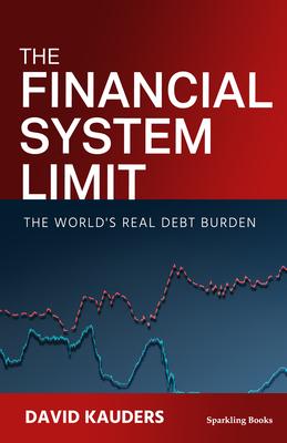 The Financial System Limit als Buch (gebunden)