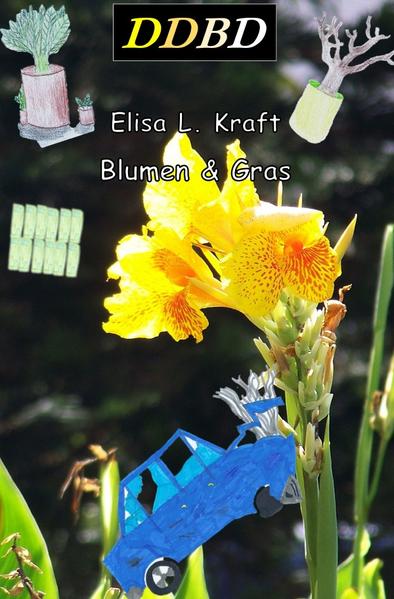 Produktbild: Blumen und Gras | Elisa Kraft