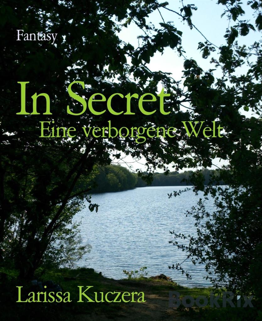Produktbild: In Secret | Larissa Kuczera