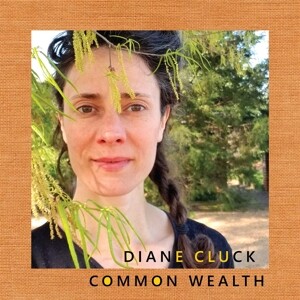 Produktbild: COMMON WEALTH (10"Album) | Diane Cluck