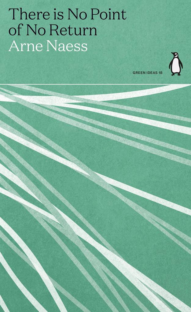 Produktbild: There is No Point of No Return | Arne Næss