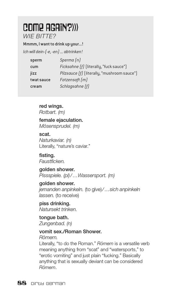 Weitere Ansicht: Dirty German: Second Edition | Daniel Chaffey