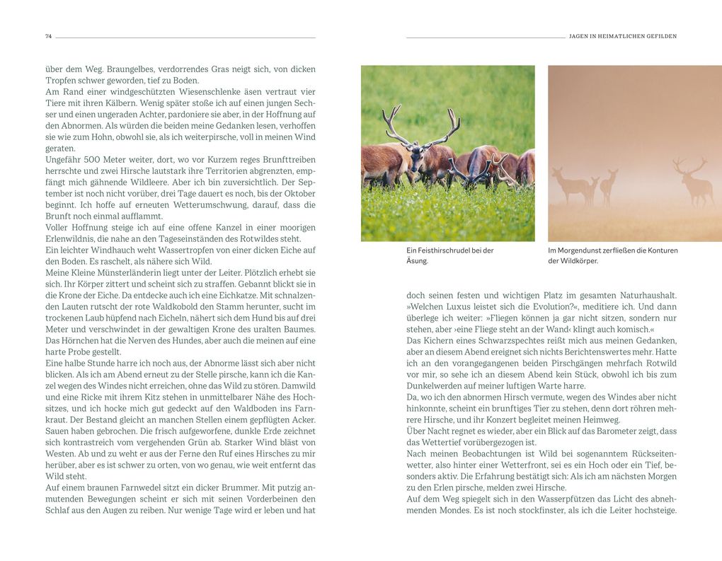 Weitere Ansicht: Ein Leben für die Jagd | Gert G. v. Harling