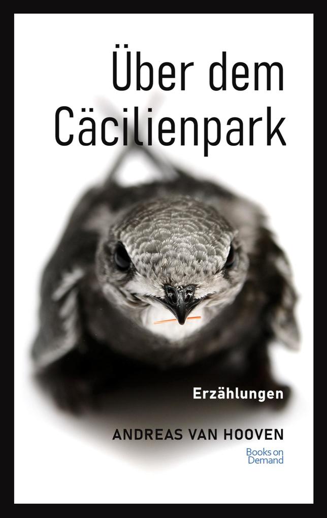 Über dem Cäcilienpark als Taschenbuch