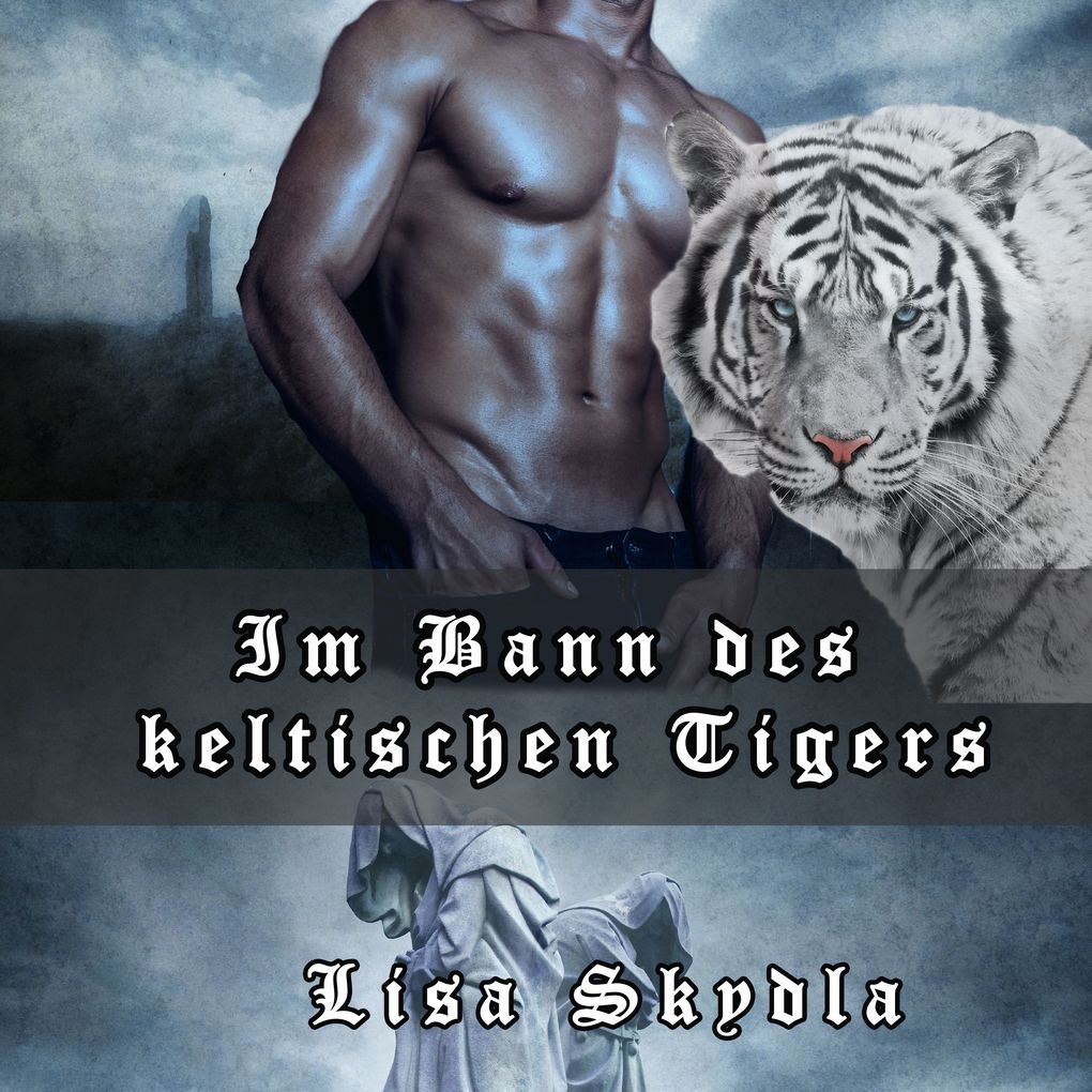 Produktbild: Im Bann des keltischen Tigers | Lisa Skydla