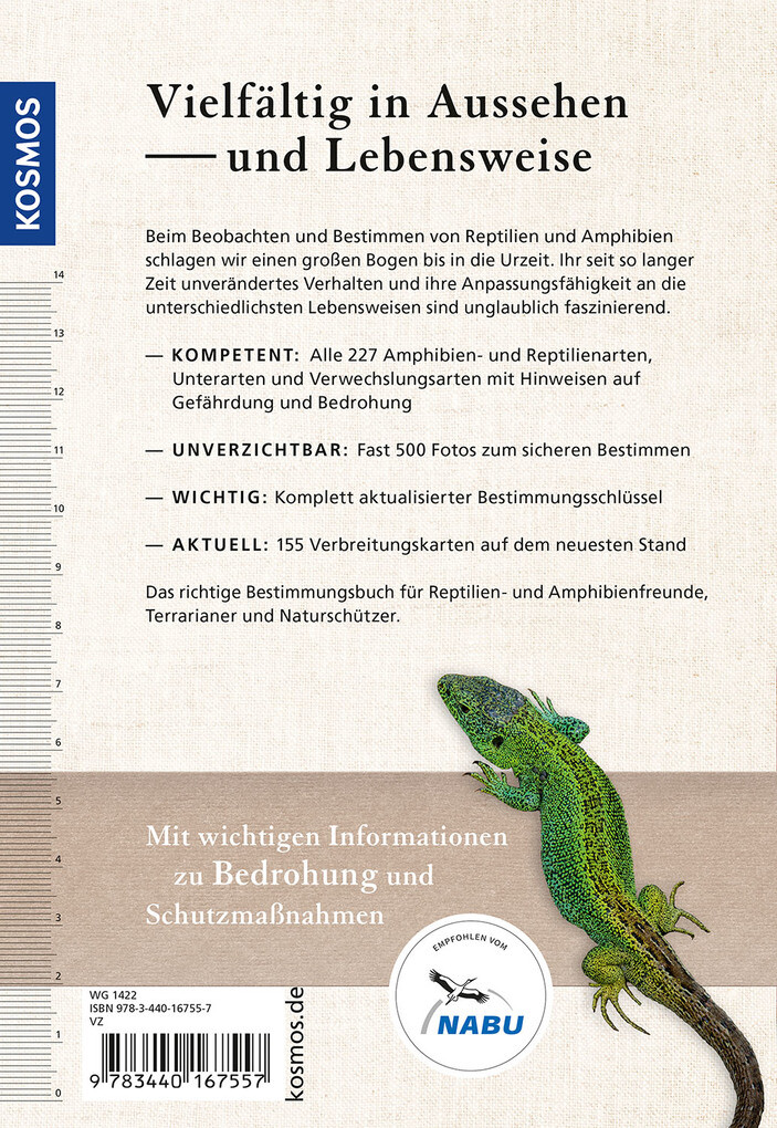 Weitere Ansicht: Reptilien und Amphibien Europas | Axel Kwet