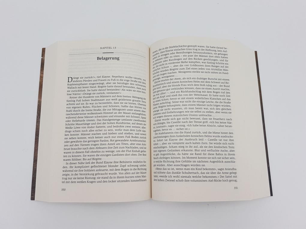 Weitere Ansicht: Das Rad der Zeit 11 | Robert Jordan