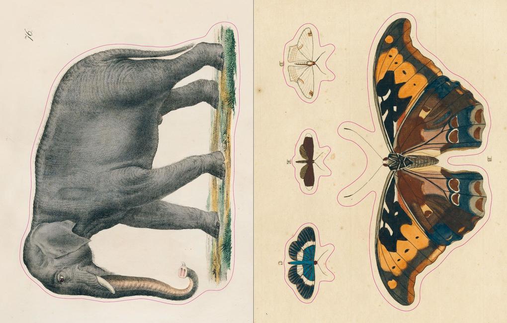 Weitere Ansicht: John Derian Sticker Book | John Derian