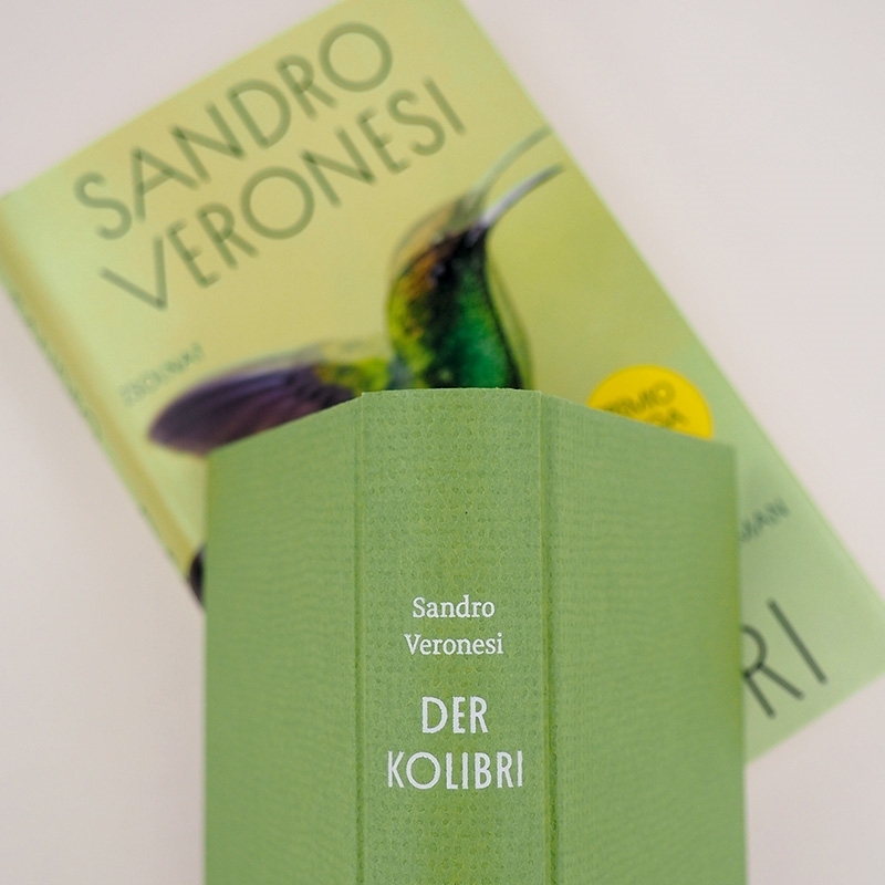 Weitere Ansicht: Der Kolibri | Sandro Veronesi