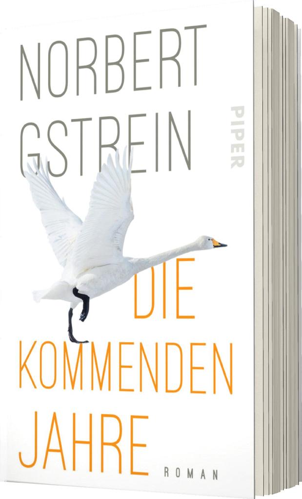 Weitere Ansicht: Die kommenden Jahre | Norbert Gstrein