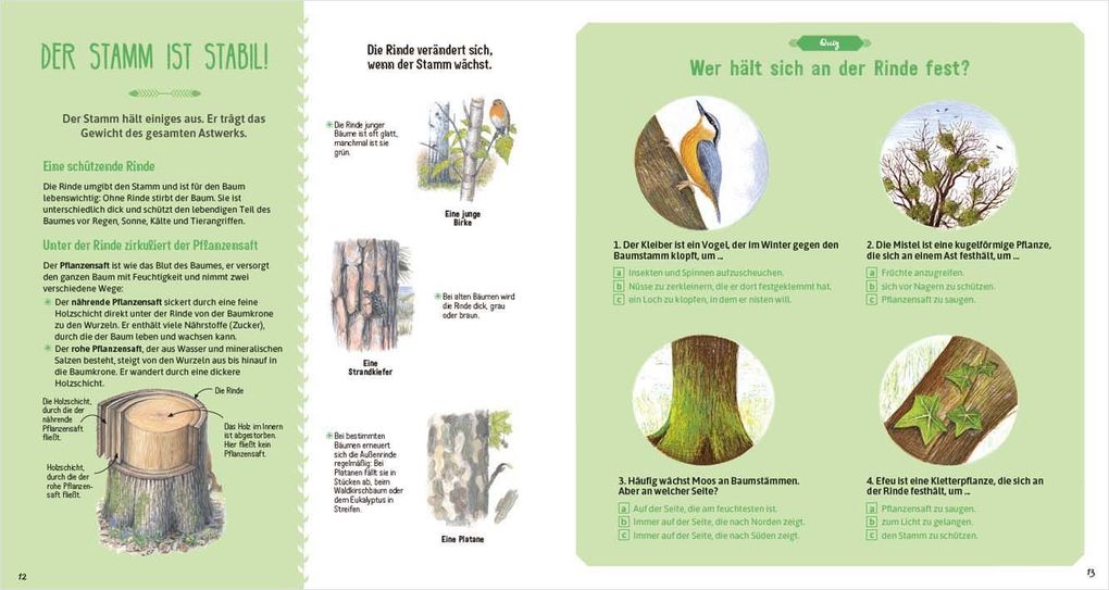 Weitere Ansicht: Das große Buch der Bäume | Nathalie Tordjman