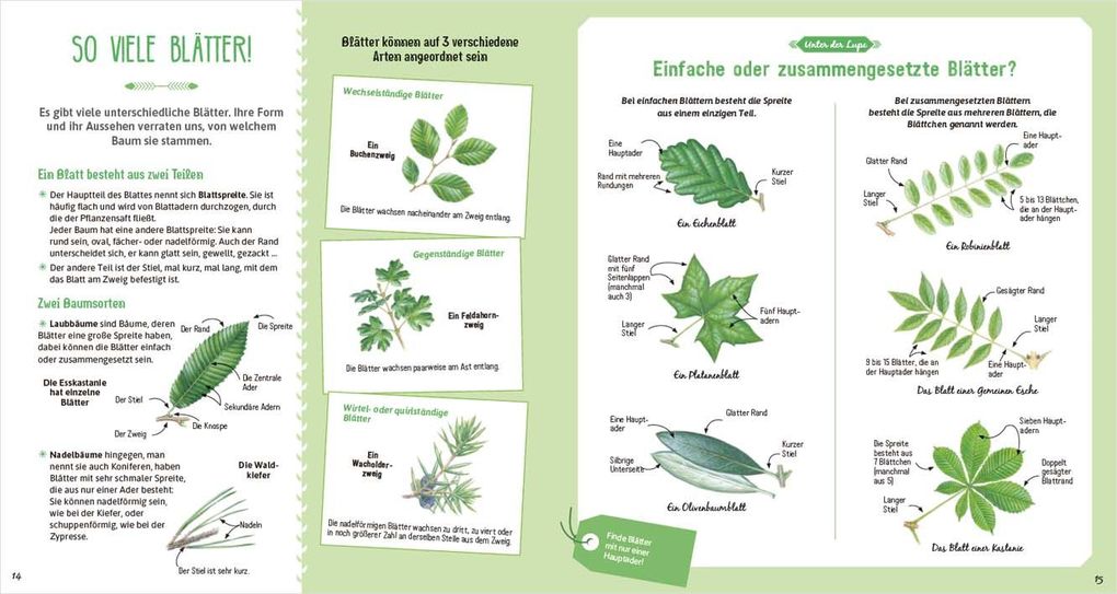 Weitere Ansicht: Das große Buch der Bäume | Nathalie Tordjman