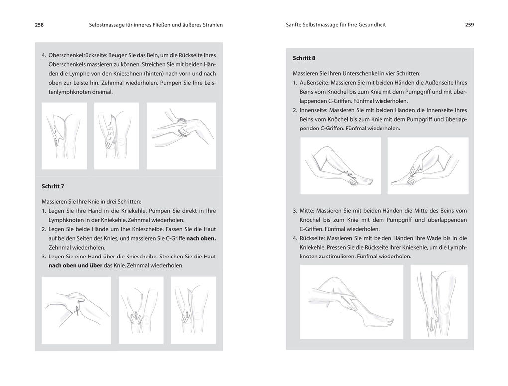 Weitere Ansicht: Die heilende Kraft der Lymphe | Lisa Levitt Gainsley