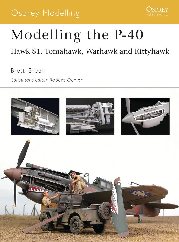 Produktbild: Modelling the P-40 | Brett Green