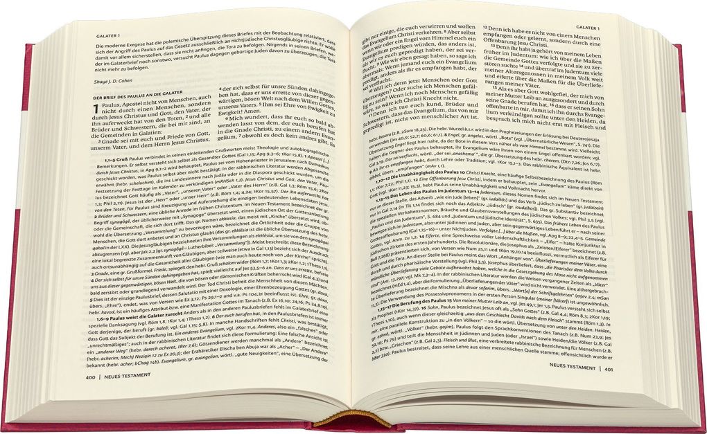 Weitere Ansicht: Das Neue Testament - jüdisch erklärt. Lutherübersetzung mit Kommentaren. Infos & Essays zum jüdischen Glauben und zur jüdischen Geschichte. Grundlagenwerk zum Verständnis von Judentum und Christentum.
