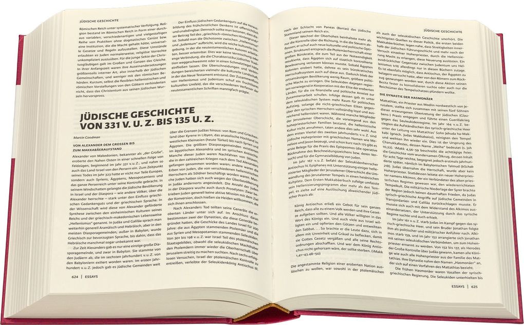 Weitere Ansicht: Das Neue Testament - jüdisch erklärt. Lutherübersetzung mit Kommentaren. Infos & Essays zum jüdischen Glauben und zur jüdischen Geschichte. Grundlagenwerk zum Verständnis von Judentum und Christentum.