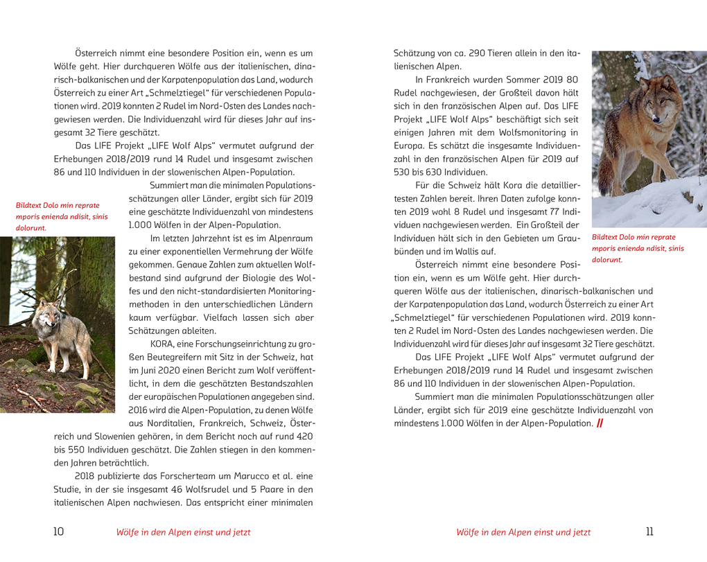 Weitere Ansicht: Der Wolf im Visier - Konflikte und Lösungsansätze | Heinrich Aukenthaler, Luigi Boitani, Alessandro Brugnoli, Armin Deutz, Matthias Gauly