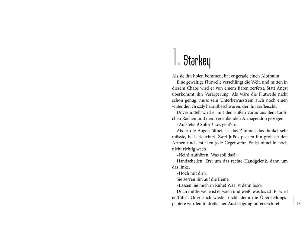 Weitere Ansicht: Vollendet - Der Aufstand | Neal Shusterman
