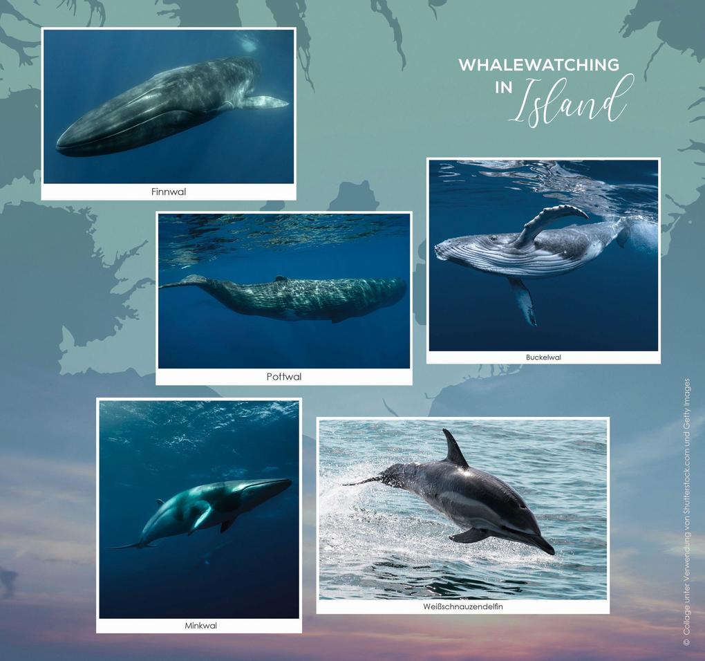 Weitere Ansicht: The Sea in your Heart | Kira Mohn