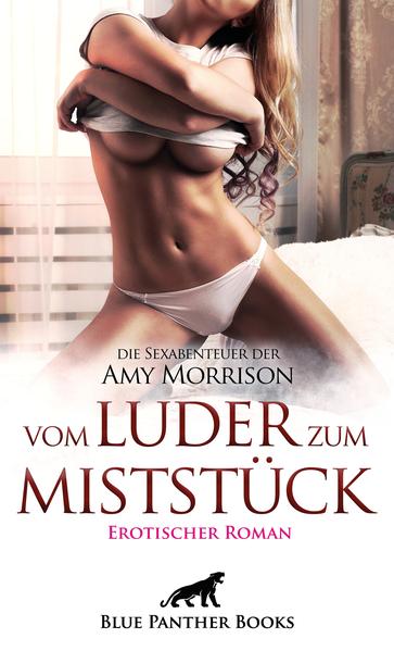 Produktbild: vom Luder zum MistStück | Erotischer Roman | die Sexabenteuer der Amy Morrison | Amy Morrison