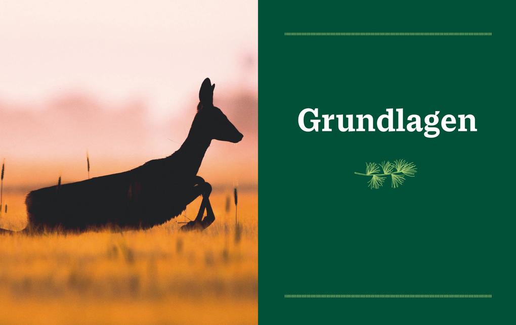 Weitere Ansicht: Einfach Wild | Gabriel Arendt