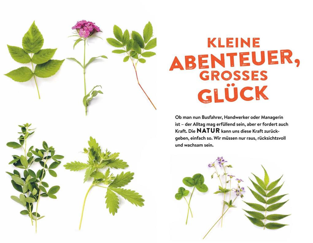 Weitere Ansicht: Tausche Alltag gegen Alpaka | Erik Kormann