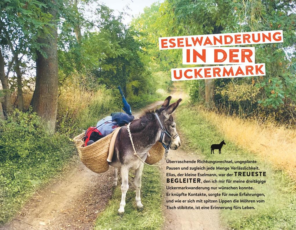 Weitere Ansicht: Tausche Alltag gegen Alpaka | Erik Kormann