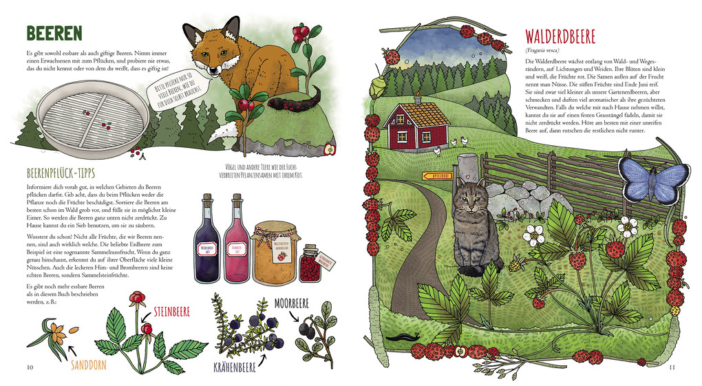 Weitere Ansicht: Meine erste Naturkunde - Beeren und Pilze | Emma Jansson