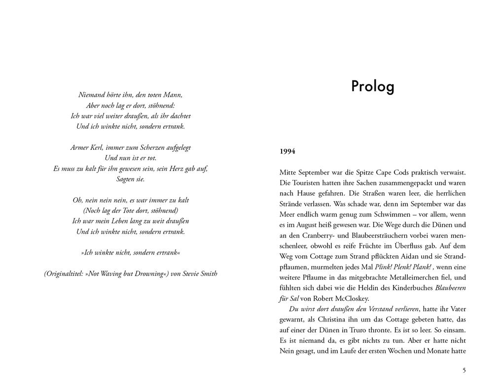 Weitere Ansicht: Big Summer | Jennifer Weiner