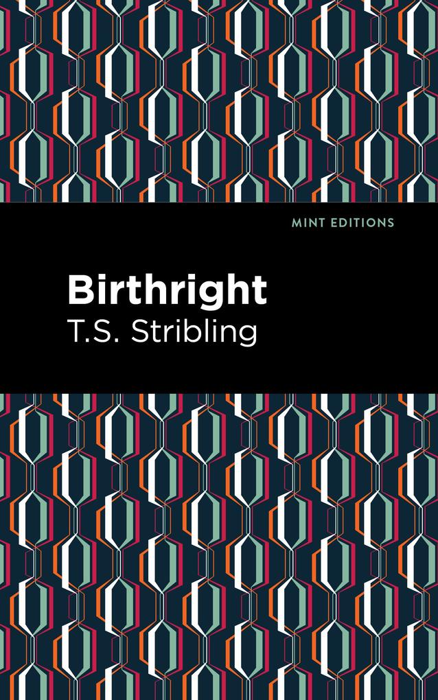 Produktbild: Birthright | T. S. Stribling