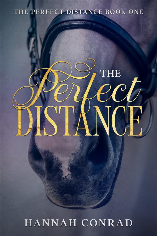 Produktbild: The Perfect Distance | Hannah Conrad