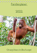 Familienplaner 2022 - Orang Utans im Dschungel (Tischkalender 2022 DIN A5 hoch)