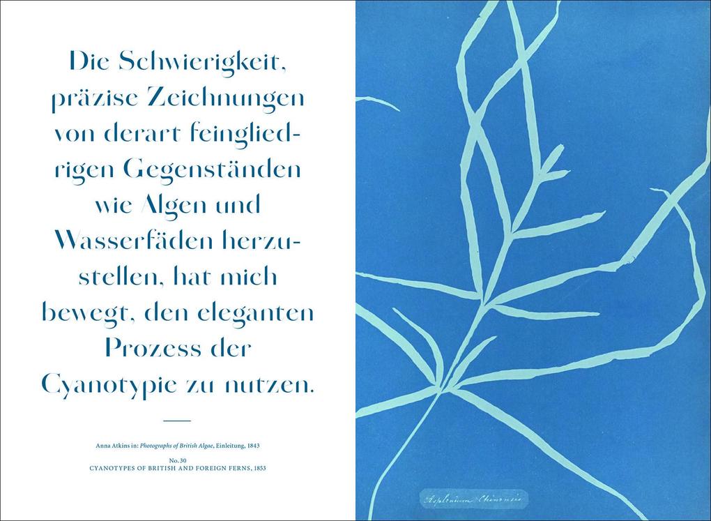 Weitere Ansicht: Anna Atkins | Rolf Sachsse