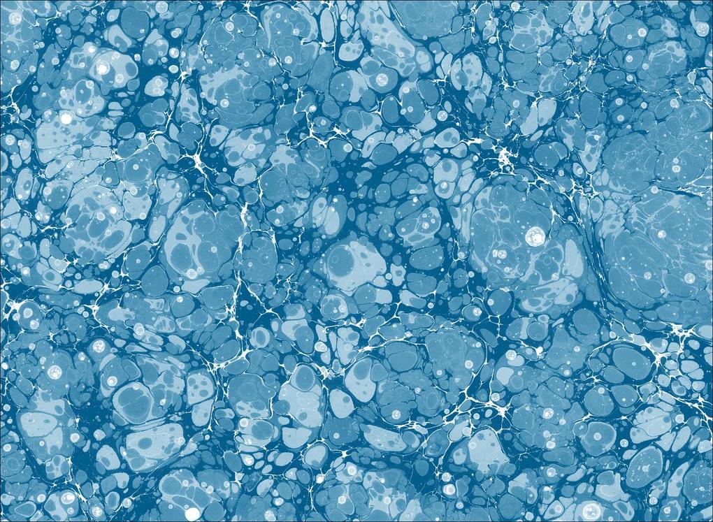 Weitere Ansicht: Anna Atkins | Rolf Sachsse