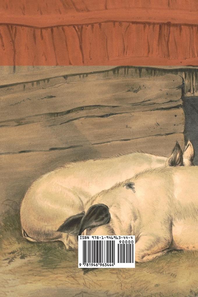 Weitere Ansicht: Animal Farm | George Orwell, Eric Blair