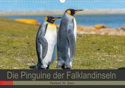 Die Pinguine der Falklandinseln (Wandkalender 2022 DIN A3 quer)