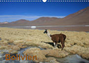 Bolivien (Wandkalender 2022 DIN A3 quer)
