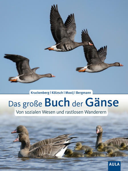 Produktbild: Das große Buch der Gänse | Helmut Kruckenberg, Andrea Kölzsch, Johan Mooij, Hans-Heiner Bergmann