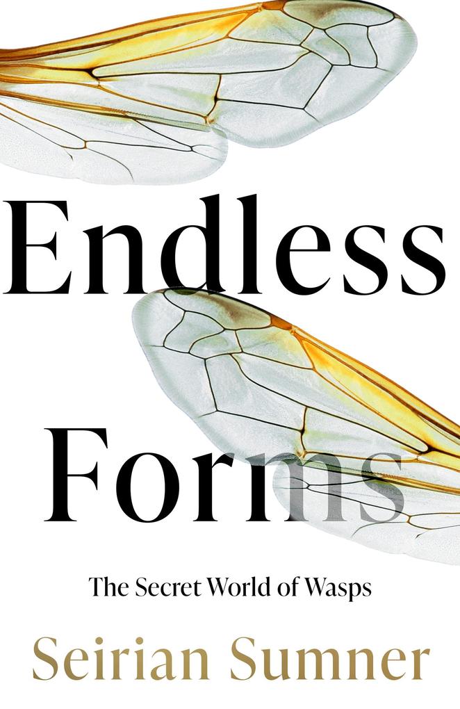 Produktbild: Endless Forms | Seirian Sumner