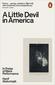 Produktbild: A Little Devil in America | Hanif Abdurraqib