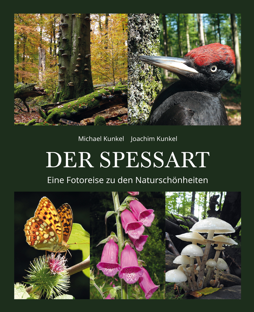 Weitere Ansicht: DER SPESSART | Joachim Kunkel