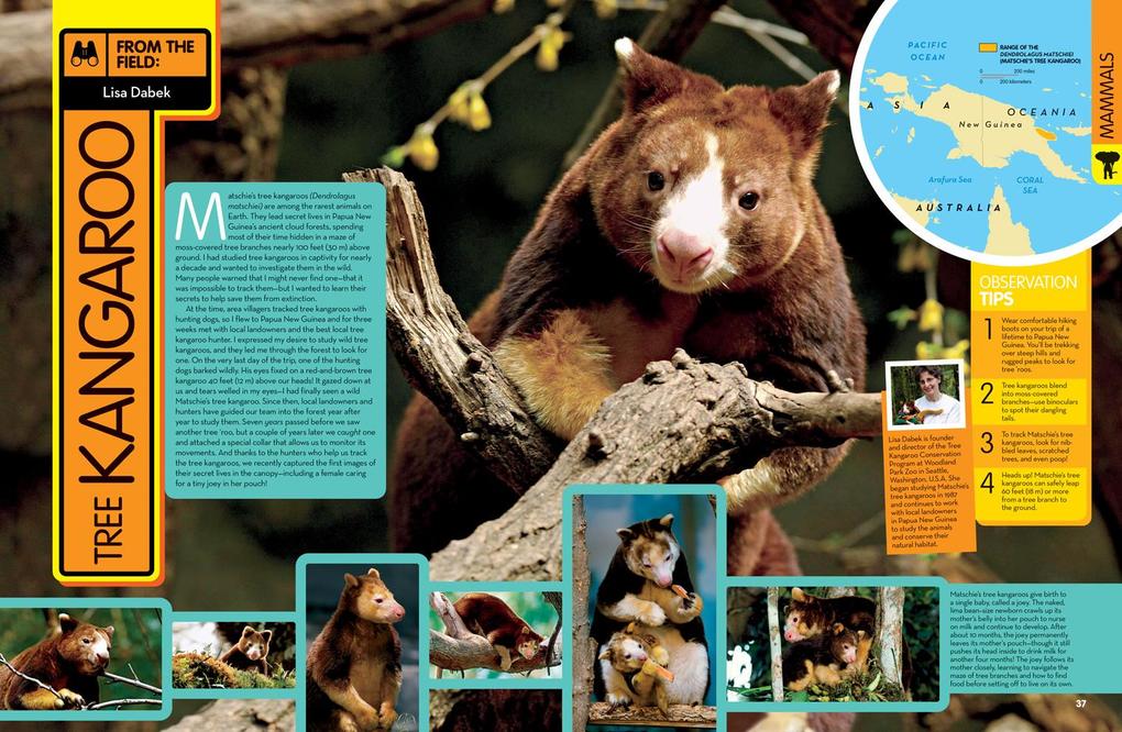Weitere Ansicht: National Geographic Kids Animal Encyclopedia, 2nd Edition | National Geographic