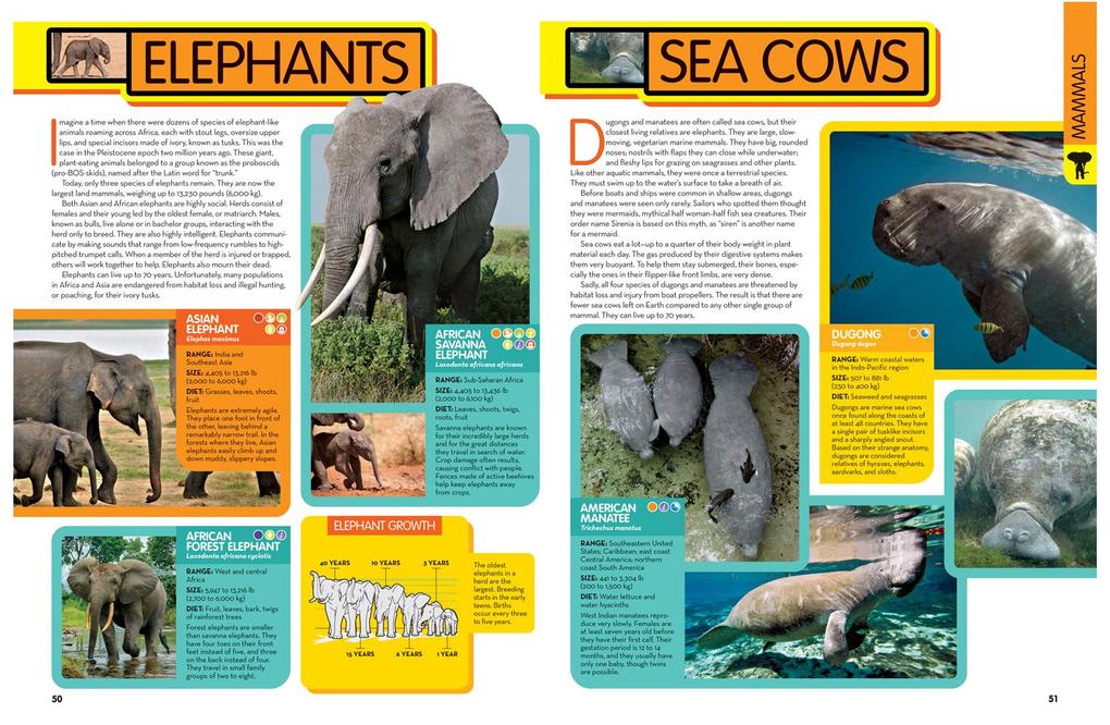 Weitere Ansicht: National Geographic Kids Animal Encyclopedia, 2nd Edition | National Geographic