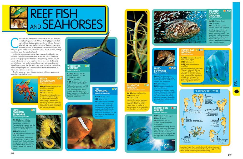 Weitere Ansicht: National Geographic Kids Animal Encyclopedia, 2nd Edition | National Geographic