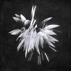 Produktbild: New Morning Howl | Brent Windler