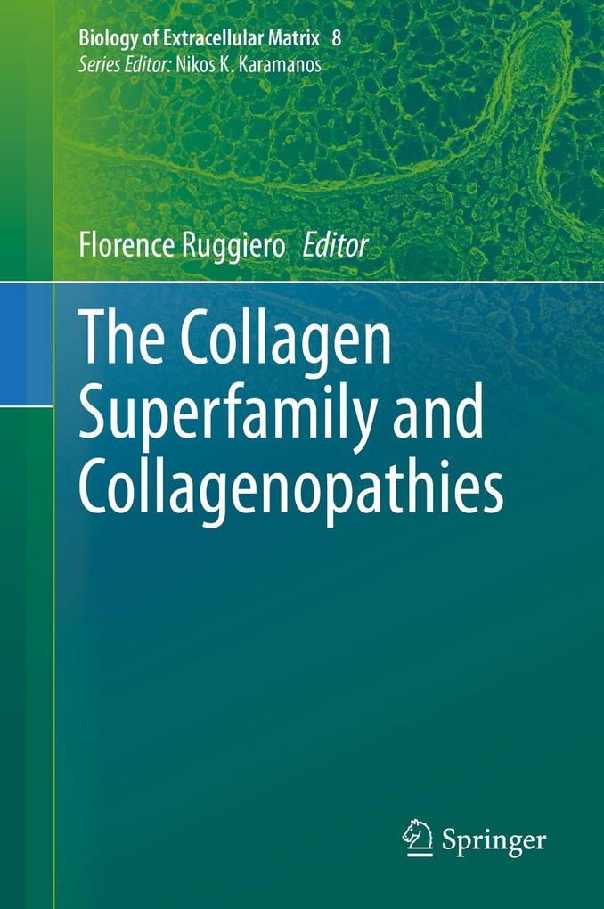Produktbild: The Collagen Superfamily and Collagenopathies