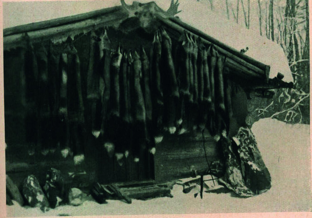 Weitere Ansicht: Wildes Kanada | Max Hinsche