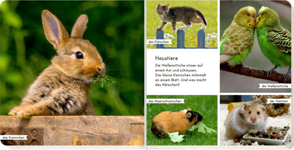 Weitere Ansicht: Meine liebsten Tiere