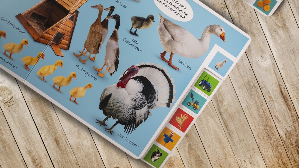 Weitere Ansicht: Erstes Lernen. Tiere | DK Erstes Lernen