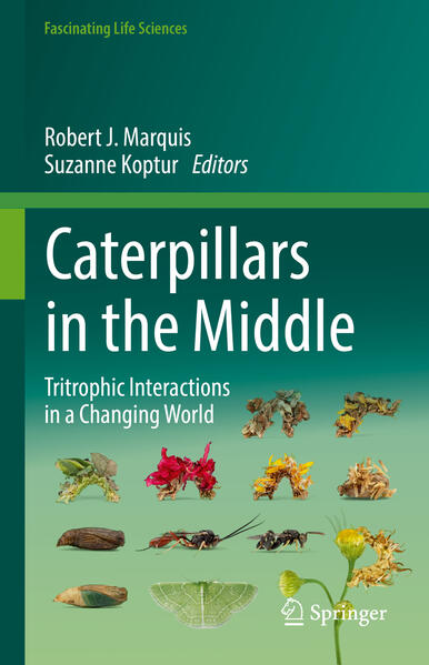 Produktbild: Caterpillars in the Middle